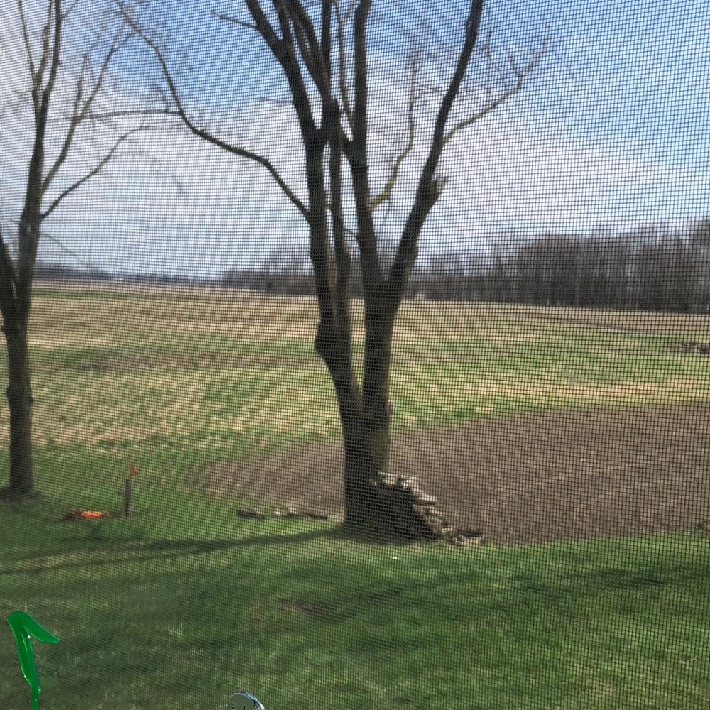 Meet your Posher, Sage